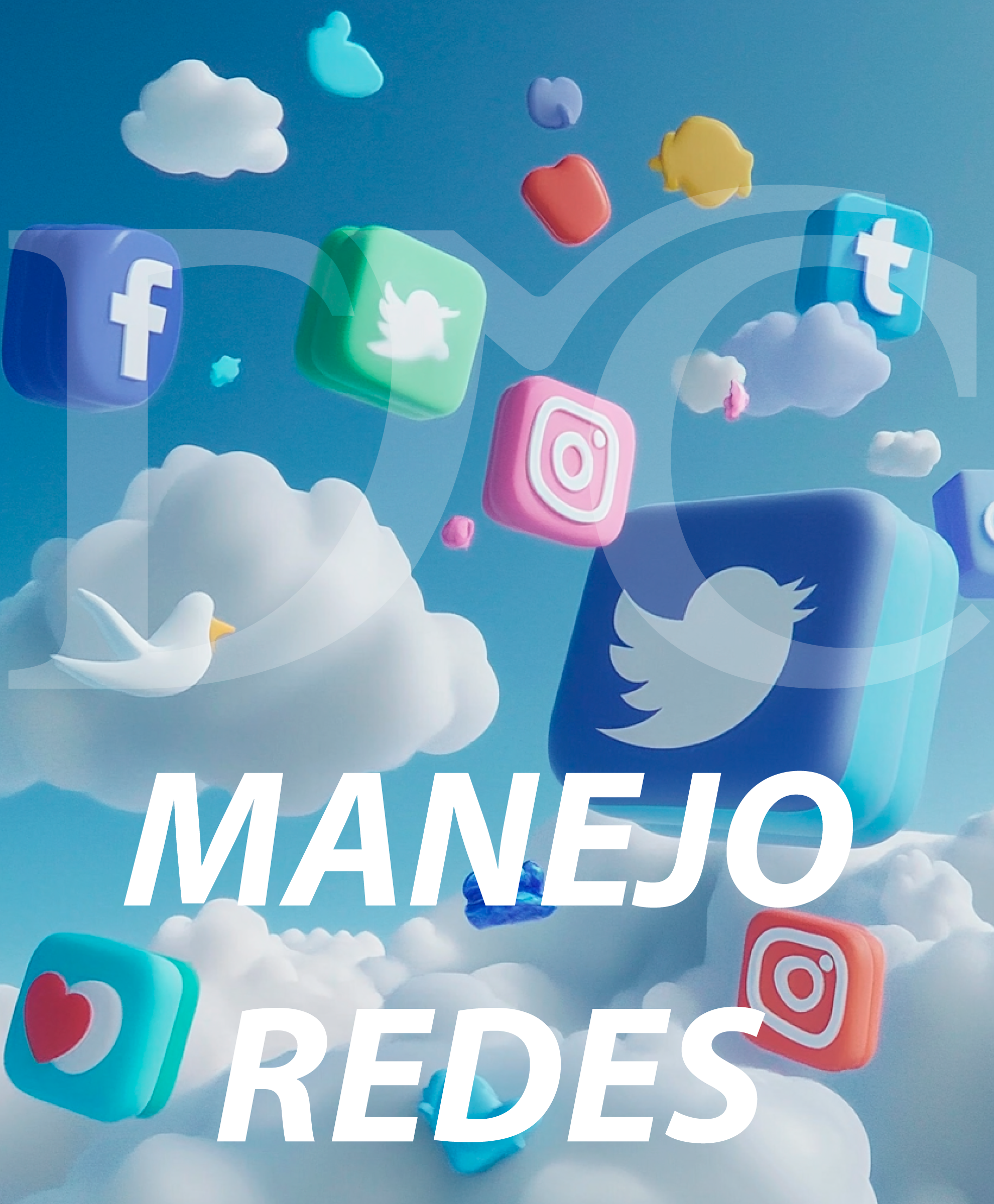 DMC Marketing Digital Redes